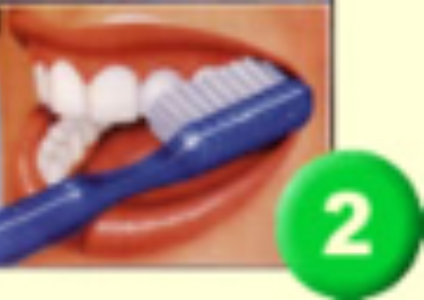 dientes 2